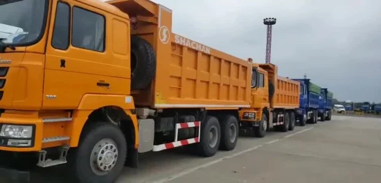 Caminhão Basculante Shacman Rhd e LHD M3000 Diesel ou Ng 8X4