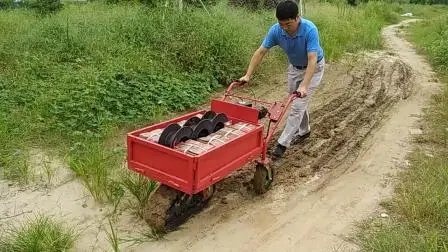 Veículo de Transporte Multifuncional - Via Única de Motor a Gasolina